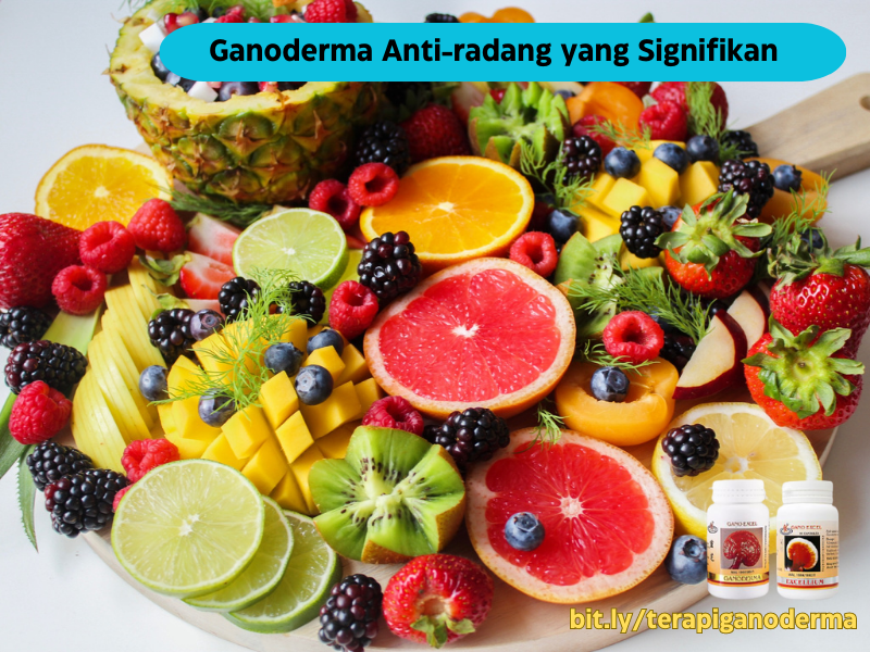 ganoderma-sebagai-anti-radang