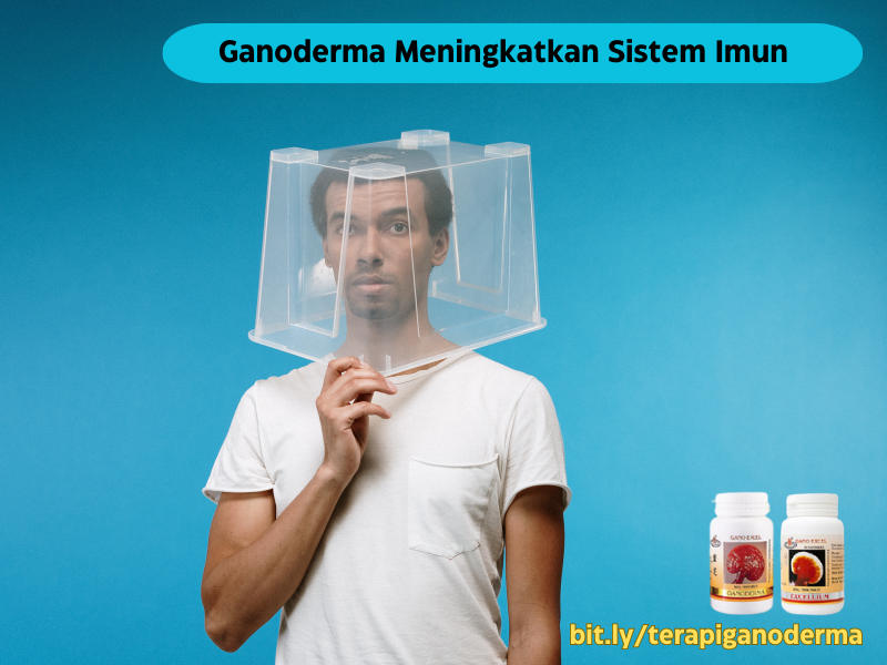 ganoderma-tingkatkan-sistem-imun