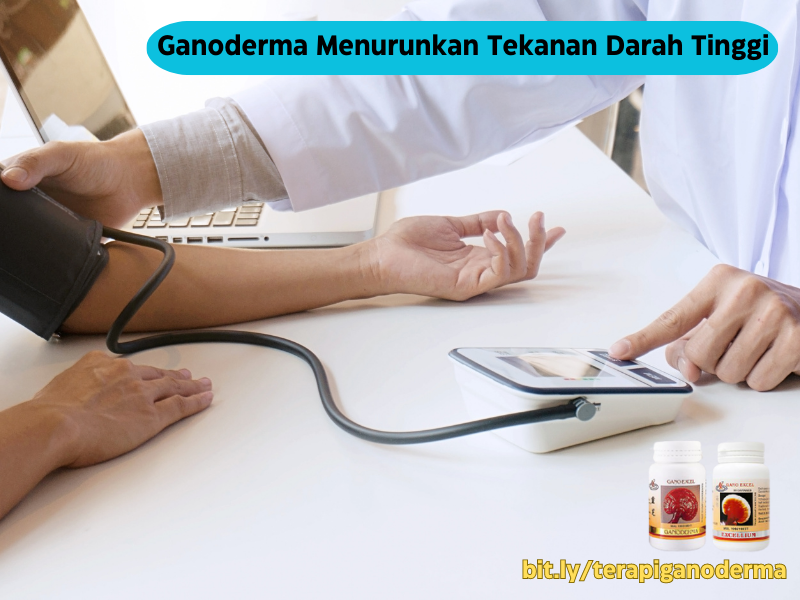 ganoderma-turunkan-darah-tinggi